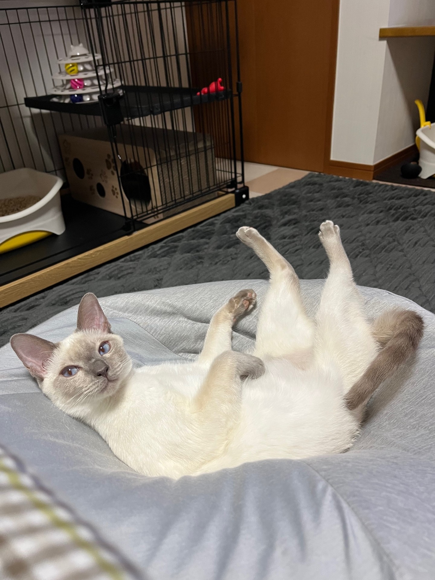あおくん♡♡