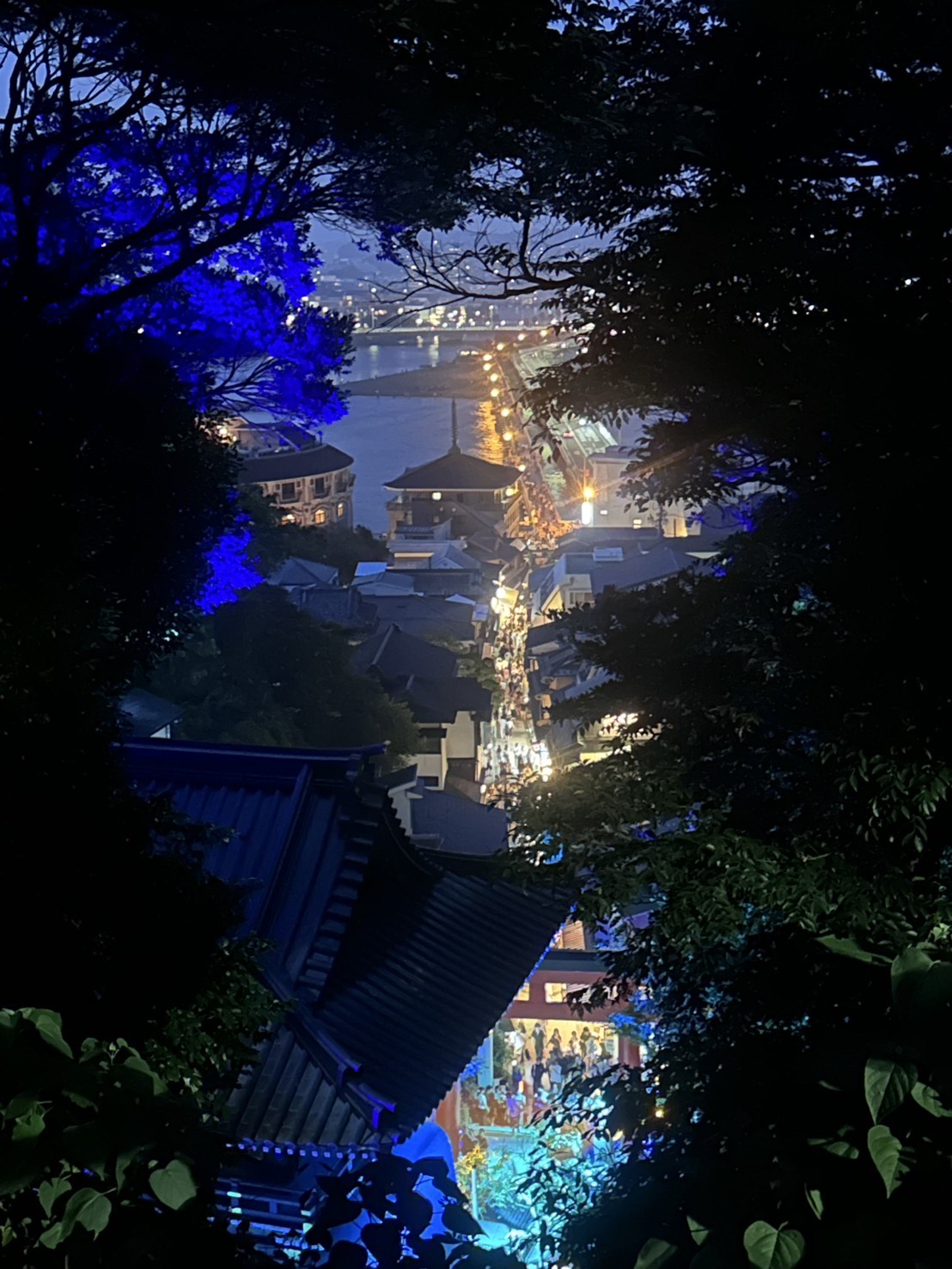 江島神社の中からみた夜景です。